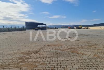 Spatiu industrial de inchiriat in Sebes judetul Alba - 9
