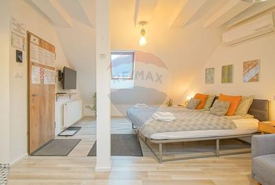 Casa cu 5 studiouri independente, terasa rooftop, vedere montana - 47