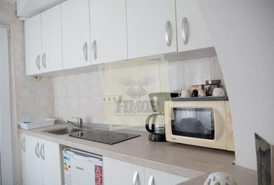 Studio pretabil regim hotelier in zona Centrala Sibiu - 7