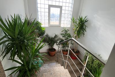 Apartament cu 4 camere în Dămăroaia