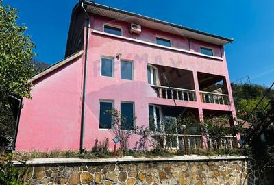 Casă P+E+M cu spălătorie auto și restaurant la DN 7 în LIPOVA - 1