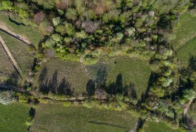 0% Comision | Teren intravilan Zărnești (Tohanița) | Vedere superbă - 6