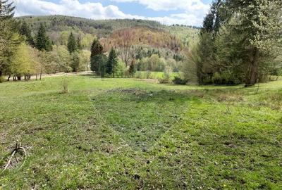 Poienita 2800mp, Covasna, zona hotel Clermont, inconjurat de padure - 1