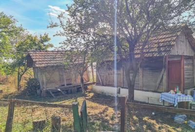 Teren intravilan 2100mp + casa + anexe 29.000 euro - 3