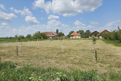 Casă  cu teren de 40 ari în localitatea Gelu - 5