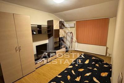 Apartament cu 1 camera de inchiriat, zona Dambovita, Timisoara - 2