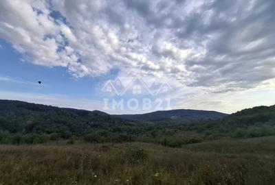 Teren spectaculos cu padure, livada si priveliste panoramica in Soimari PH - 3