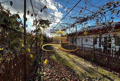 Casa batraneasca din caramida de vanzare si 4500 mp teren Negri Bacau - 16