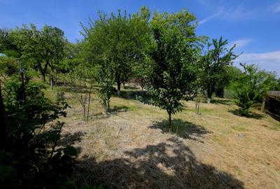 Teren intravilan 4,516mp Doina - 17