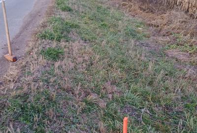 Vand teren extravilan Bacia Hunedoara - 1