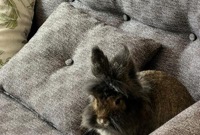 fe46af23-4893-45d9-9c95-1b7d690b9094