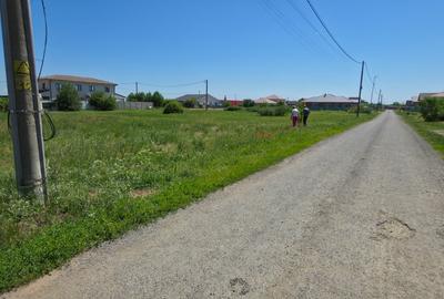 TEREN PREMIUM DE VÂNZARE ÎN DUMBRĂVIȚA – LÂNGĂ PĂDURE - 3