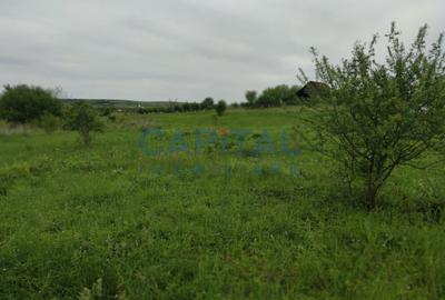 Comision 0%! Oportunitate, teren intravilan, 800 mp Masterplan, Sopor - 2