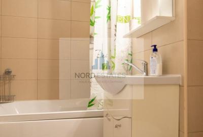 Victoriei-Banu Manta, apartament 2 camere de inchiriat - 9