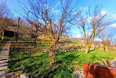 Casă singur în curte – Curteni - 15