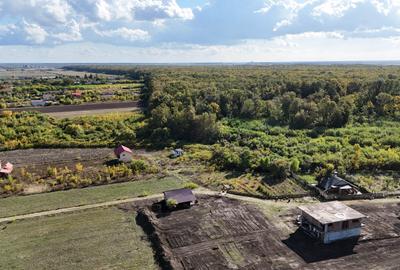 Refugiu la marginea padurii — 2822 mp de liniste in Cocani. - 8