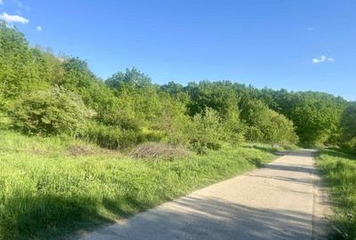 Teren 1000-2000mp intravilan in Gradina Botanica Iasi, 200€/mp, utilitati - 5