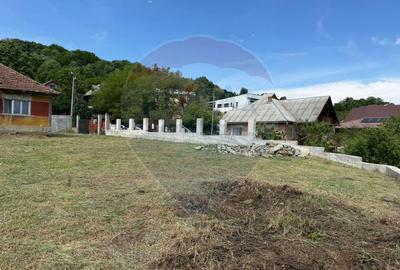 Teren exclusivist cu priveliste de vanzare in Baia Mare - 12