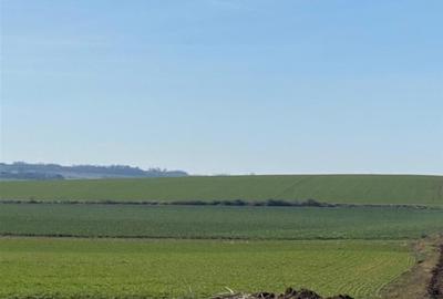 Teren intravilan de 42050 mp, în Tăuteu