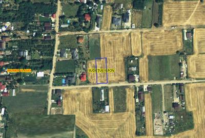 Teren 1500 mp Caciulati Moara Vlasiei, cu utilități - 5