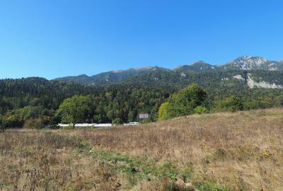 TEREN PENTRU DEZVOLTARE SINAIA-CUMPATU Str. Zamora-9.801 mp-Comision 0% - 25