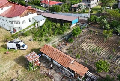 Teisori domeniul verde cu baltă de pește ,Neajlov,,Padure - 3