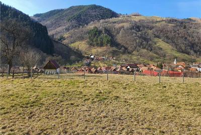 Vindem urgent 1035mp teren intravilan in Rau Sadului ,  SIBIU - 21