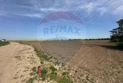 Teren 545,000mp Dragomiresti-Vale - 7