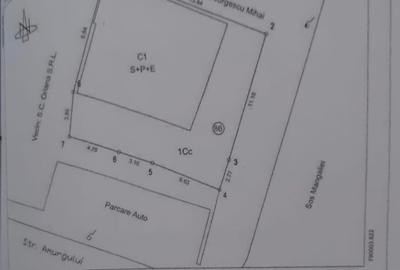 Oportunitate Investiție: Vilă S+P+1 – Spațiu Comercial | Șoseaua Mangaliei 86A, - 17