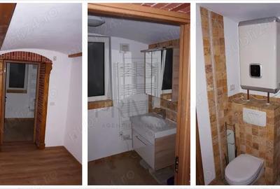 Apartament tip studio pe 2 nivele zona Iosefin - 4