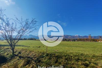 Teren intravilan în Tocile - 39 euro/mp - 4354 m² - 2 fronturi - 25