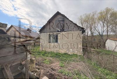 Comision 0! | Casă + teren generos | 2600 m² | Oportunitate unică - Faureni - 5