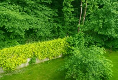 S1 Pădurea Baneasa Apartament Duplex în Vilă  Renovat Metro M6 Stația Bruxelles - 18