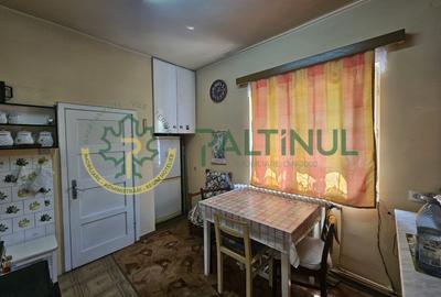 Casa de vanzare pe un nivel in Turnisor, Sibiu - 14