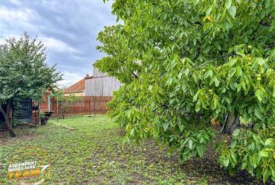 FILM&3D! Casa ospitaliera,curte si gradina asortata,arie linistita,Simeria,Sfant - 6