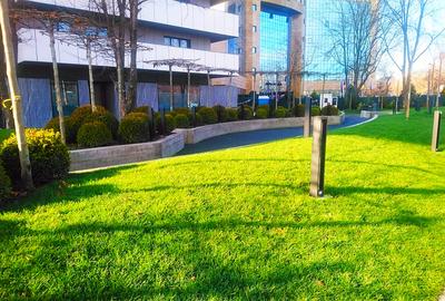 CORTINA ACADEMY  COTROCENI- SPATIU COMERCIAL HIGH-END 338MP - 1