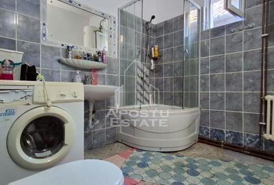 Casa de vanzare in Ineu formata din 2 cladiri - 14