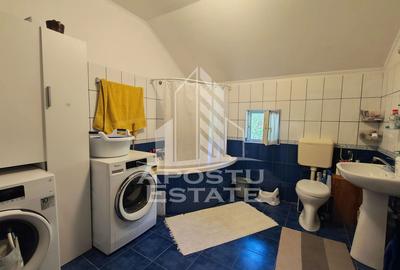 Casa individuala de vanzare, cu garaj, Lipovei, Timisoara - 14