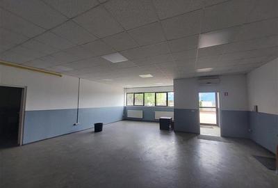 Hala cu pod rulant, de vanzare sau de inchiriat, in Zona Industriala de vest! - 6