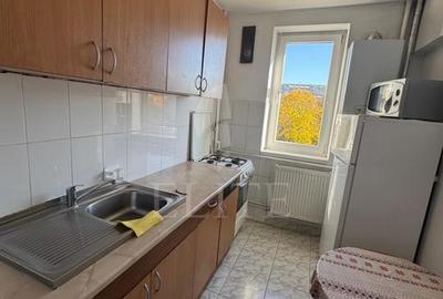 Apartament 2 camere în zona Iulius Mall - 4