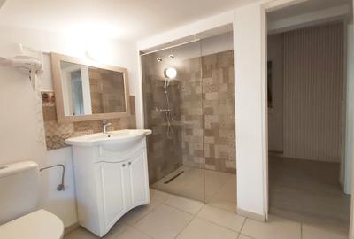 Vanzare apartament cu 4 camere in vila renovata Ultracentral Mitropolie - 5