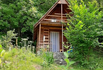 Proprietate pe Valea Vâlsanului – Cabane din lemn + Casă ecologică COB - 10