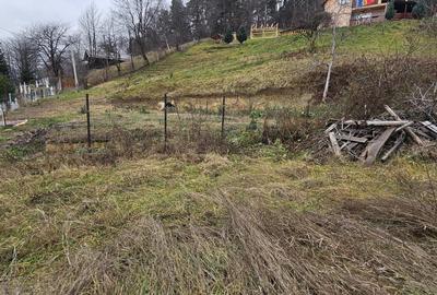 Teren construibil (intravilan) de vanzare, strada Viei nr. 30 - 3