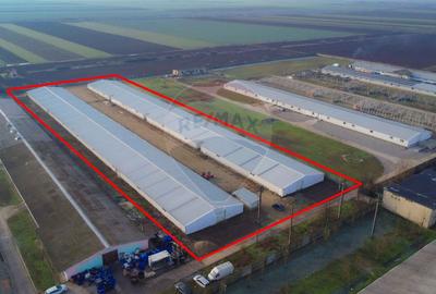 De vânzare – 2 hale industriale, 5.050 mp utili, Palota - 1