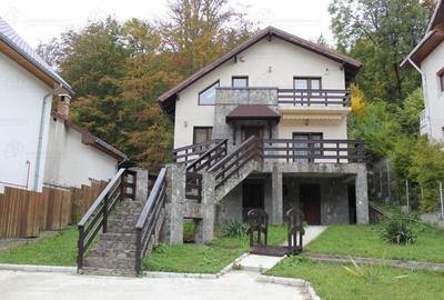 Vila superba , cu arhitectura deosebita ,  in Sinaia