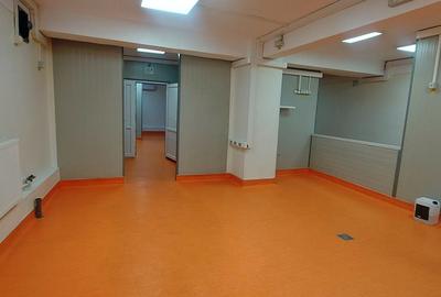 Basarabia-Chisinau, depozitare/birouri/activitati diverse, 100 m.p. - 4