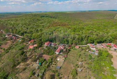 De vânzare casă și teren 1.425 mp - Podgoria - 13