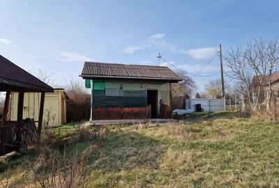 Teren - Roman  -Trifesti - ieșire la lac - livada pe rod - 6