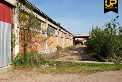 Buzau - Vernesti / Spatiu Industrial + Hale / Toate Utilitatile - 3
