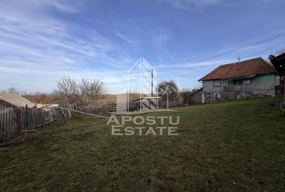 Casa batraneasca la munte, in Hunedoara, Tinutul Padurenilor, Cerbal - 4